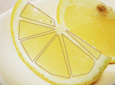 �t�����X����������8�����؂芮��