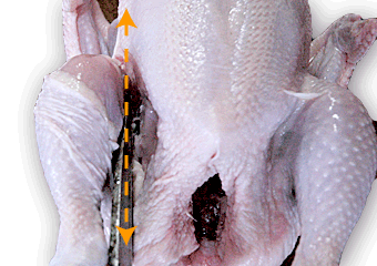 鶏のさばき方 レシピサイトぷちぐる