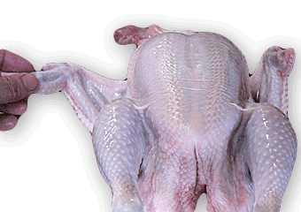 鶏のさばき方 レシピサイトぷちぐる