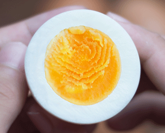 茹で卵をつくる