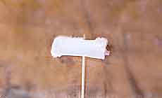 �Ē��F�Ȃ񂱂�