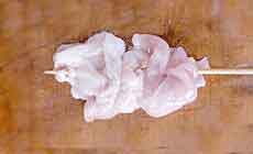 �Ē��F�n���~