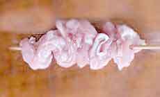 �Ē��F������